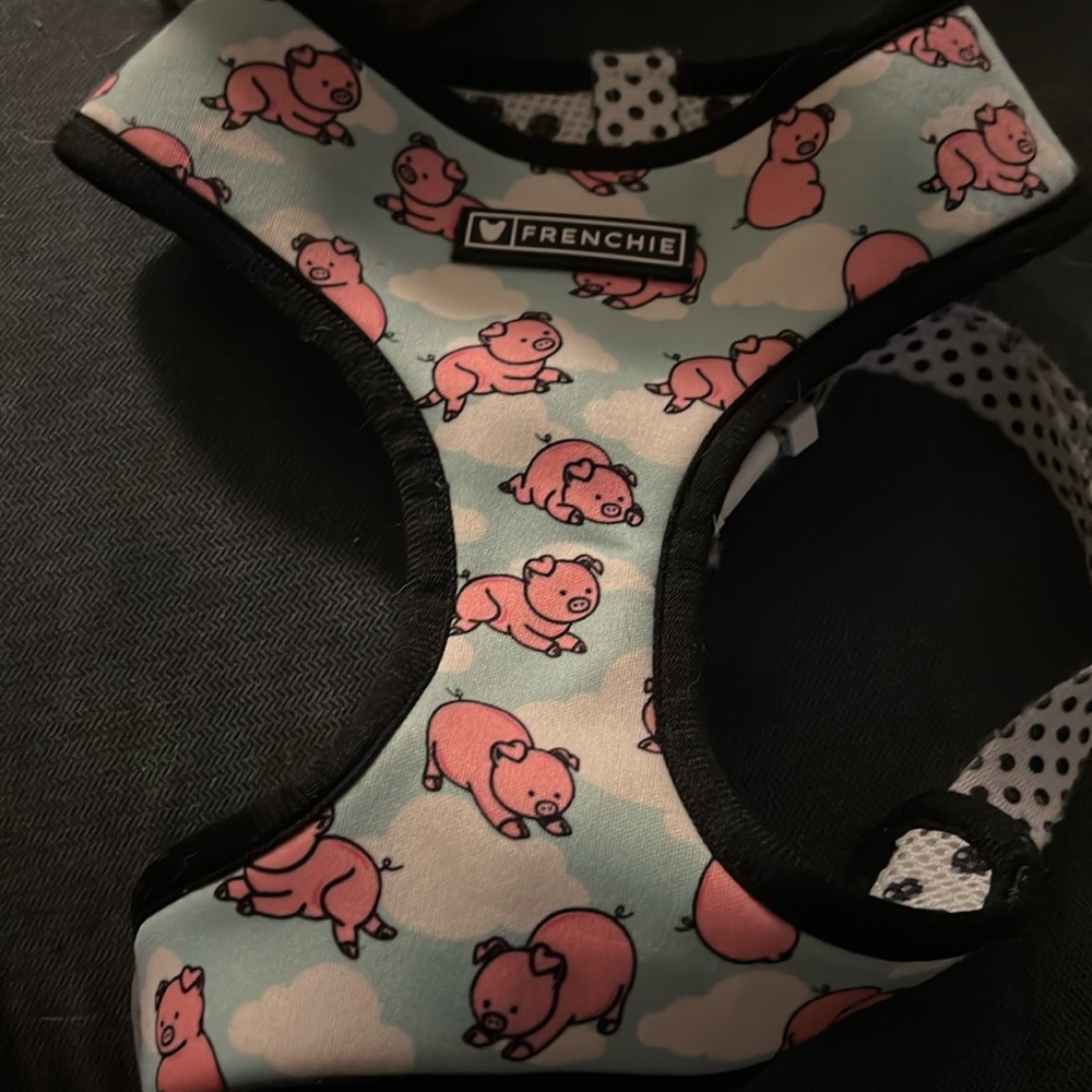 Frenchie bulldog harness